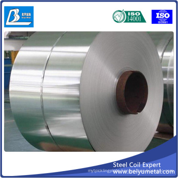 Galvanized Steel Coil for Construction